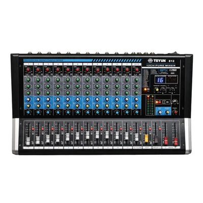 Audio Interface - TEYUN E12 Büyük profesyonel 12 kanallı